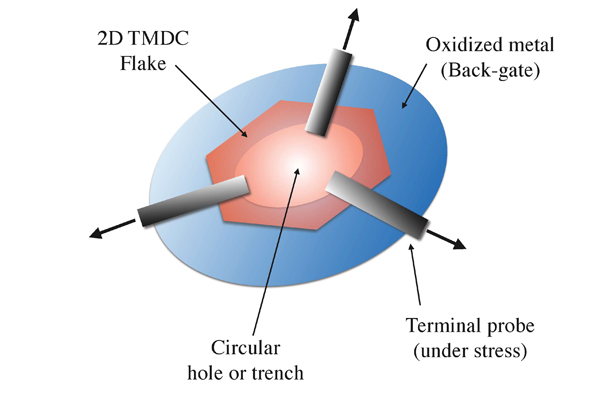 米格爾教授所提出，由半導體的過渡金屬二硫化物奈米晶體(如MoS2)所組成，可產生量子霍爾效應的元件。晶體是放置於一個溝或洞上並透過電極連接到外界。這個溝或洞的結構使得自旋電子流可以避免受到晶體不規則邊界的影響而產生不必要的散射