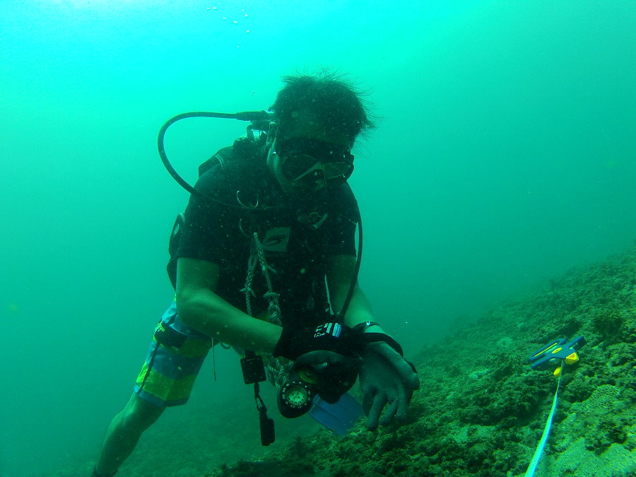 林雋硯長年泡在東北角海域，用水下攝影機記錄軟絲的一舉一動