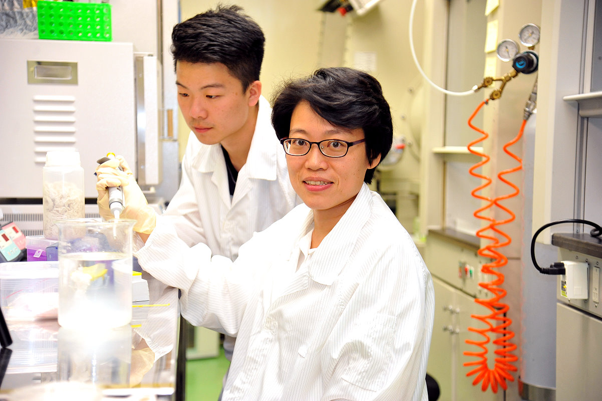 本校電機系洪毓玨教授創立全台唯一的天然DNA材料製程平台，低成本、低耗能可望改善環境