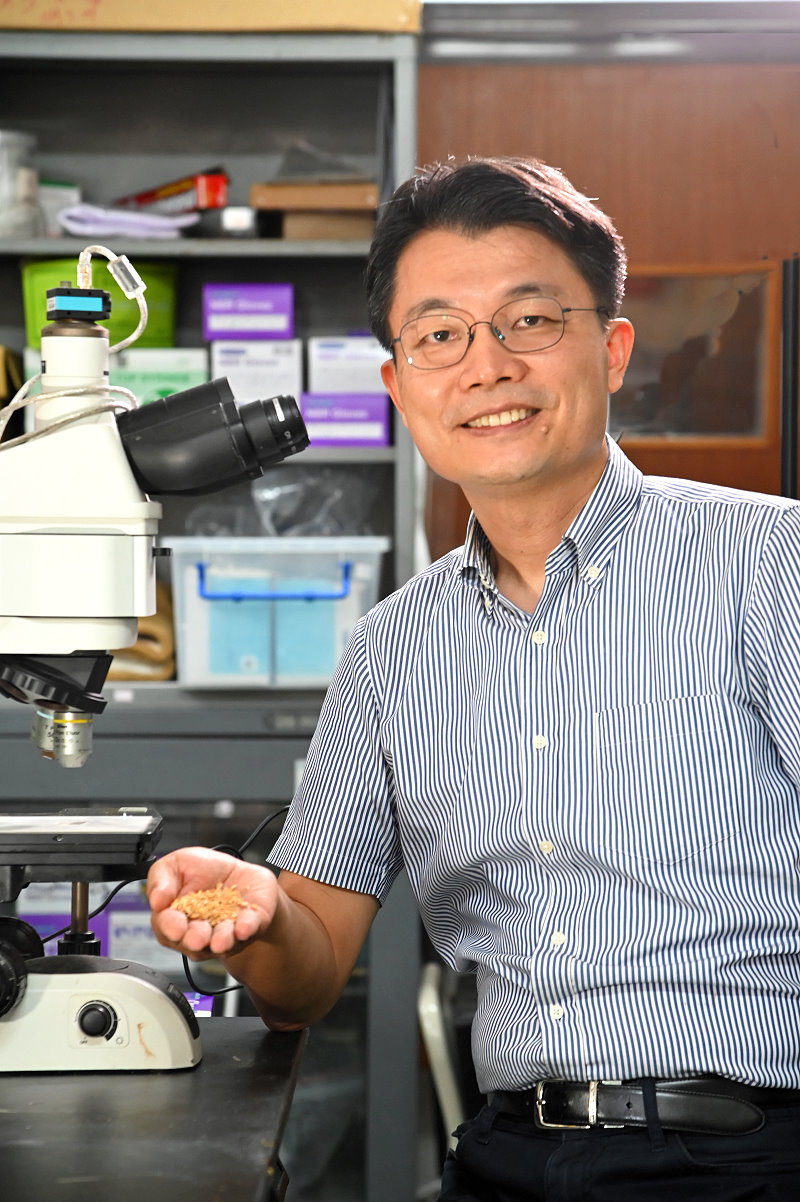 清華材料系吳志明教授將廢稻殼變成可淨化汙水的新型材料
