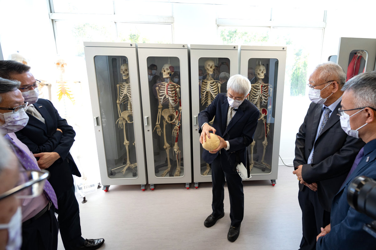 本校購入真人全身骨骼標本與可分解真人頭顱標本，供解剖課使用