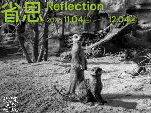 《省思》王鼎元攝影個展 / Reflection