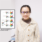 c人體運輸細胞大解密 本校鄭惠春老師動力蛋白研究 獲CELL刊登