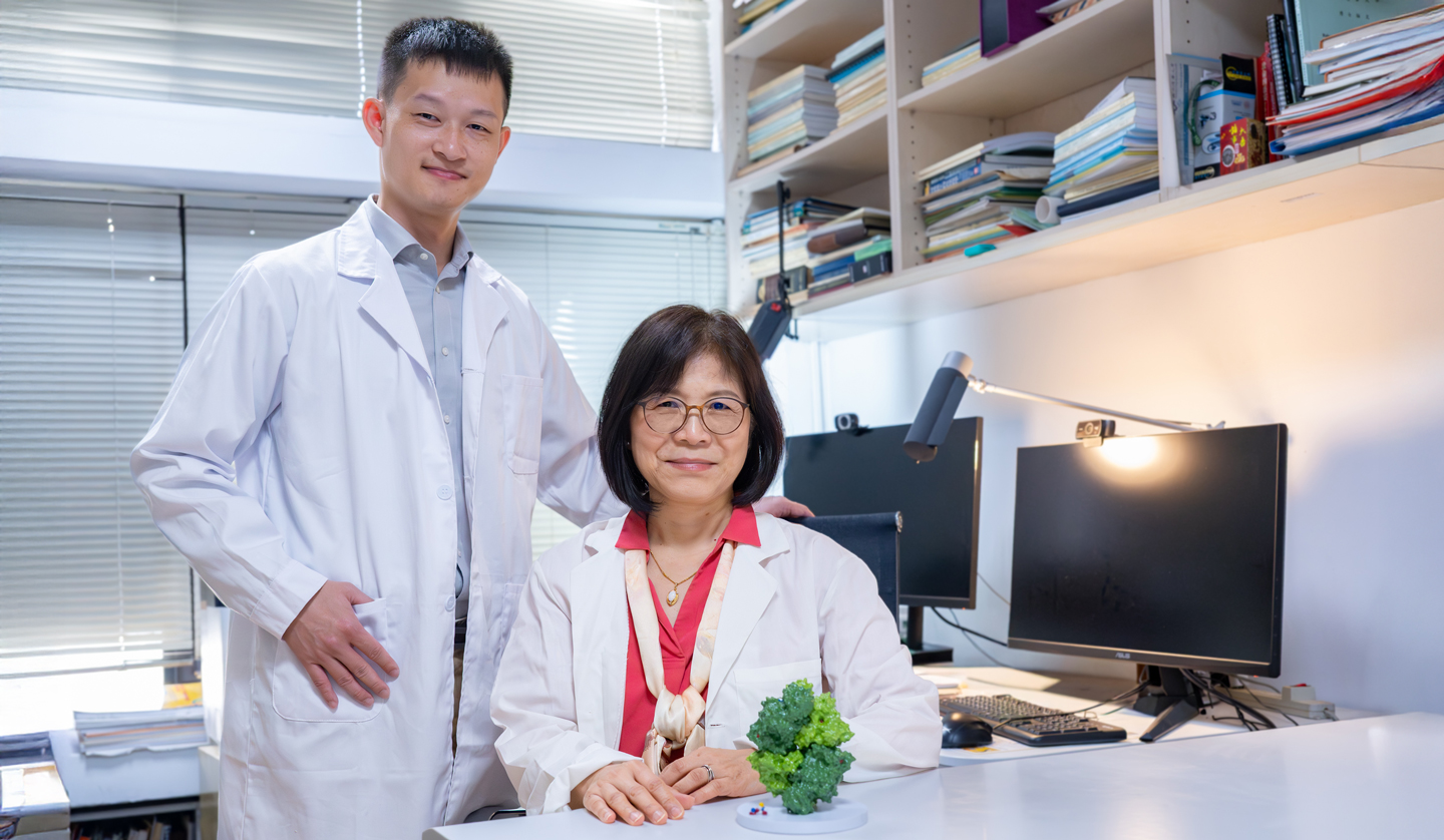 清華研究破解癌細胞弱點 雙重打擊誘...