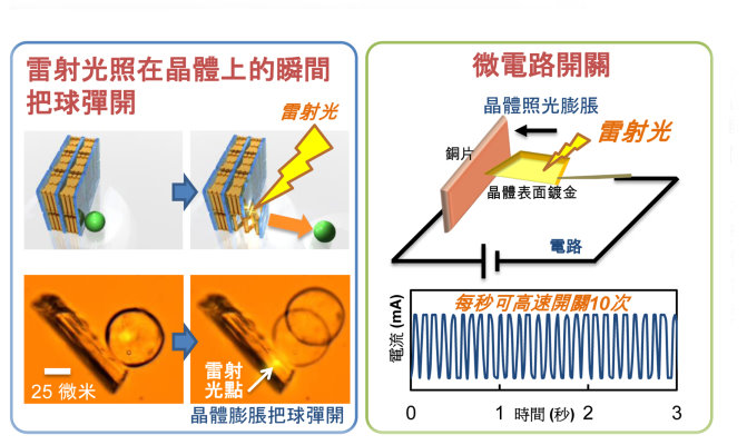 左圖：雷射光照在晶體上，分子晶體瞬間膨脹，把球彈開。右圖：控制雷射光照射與否，使晶體快速膨脹、收縮，電路每秒可開關高達10次