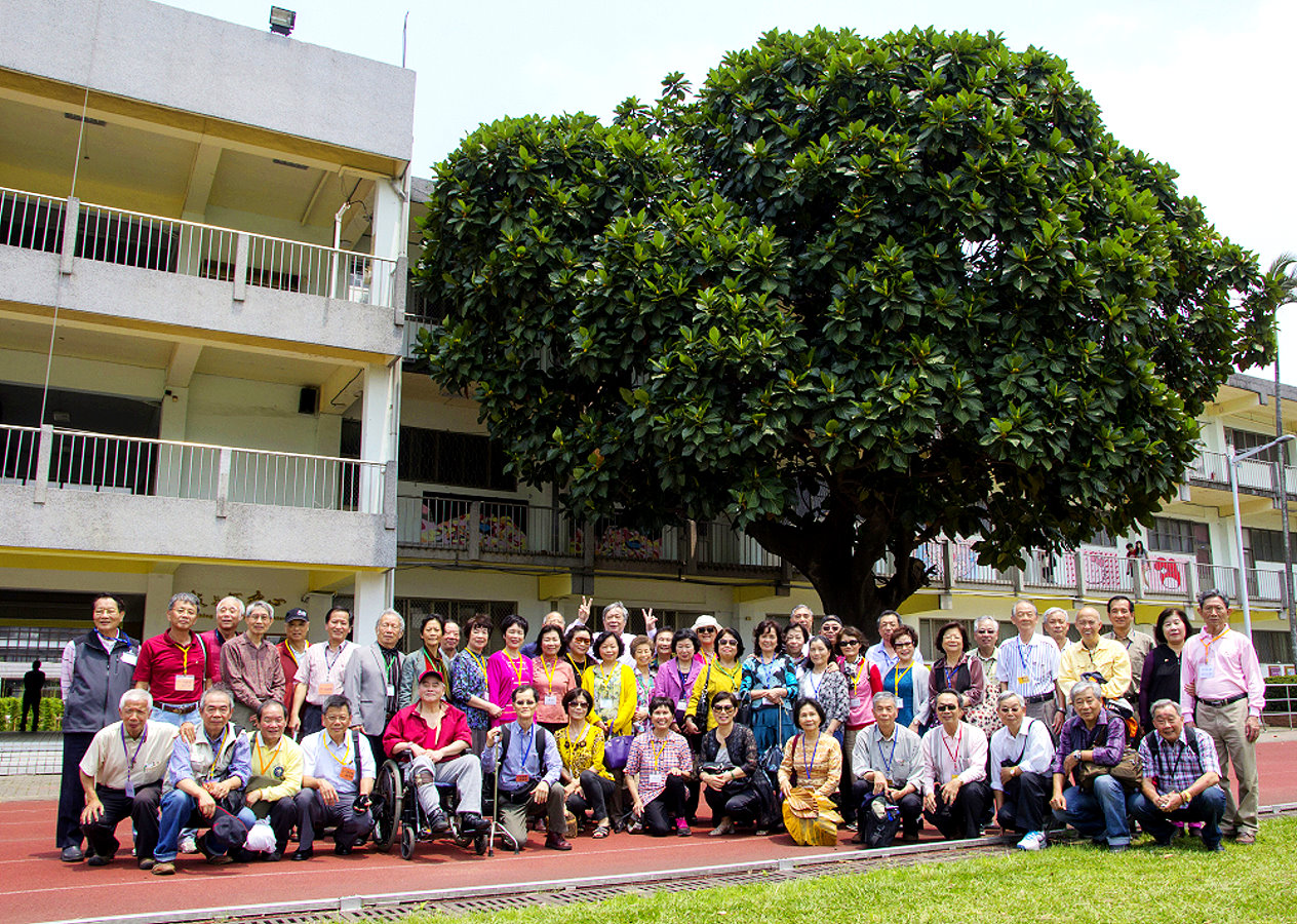 104年竹師54級校友返校舉辦50週年同學會，特地在麵包樹下合影