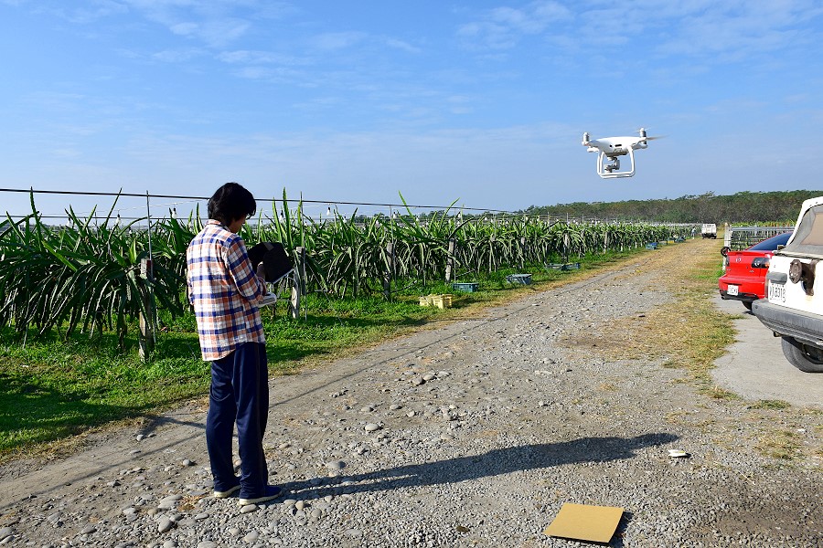 智慧精準農業運用無人空拍機結合及固定式攝影機為農民巡田，記錄農作物生長狀況。圖為無人機飛入火龍果田