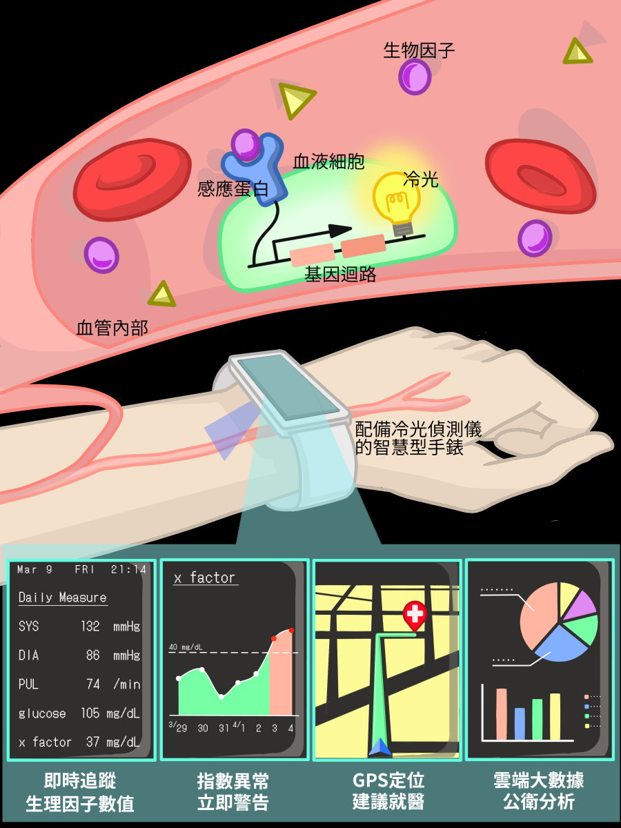 NTHU Formosa團隊最近發現利用智慧手錶等穿戴式裝置就能偵測血液內生理指數及癌症因子的方法，並贏得全球為大學生舉辦的最大規模合成生物學競賽 iGEM金牌