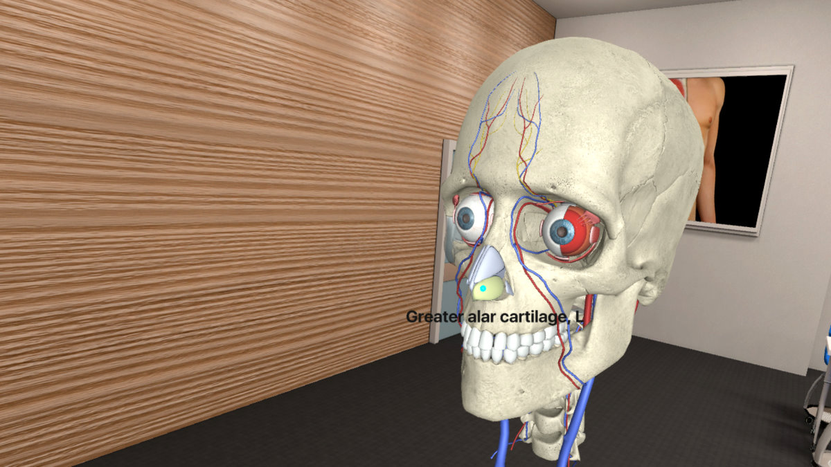 使用頭戴式VR眼罩及手持式搖桿就可以放大、縮小及旋轉檢視人體器官細節