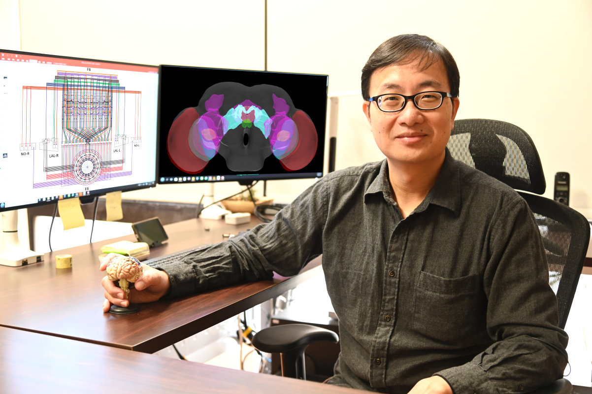 清華系神所羅中泉教授研發出仿果蠅視覺神經模型的網路