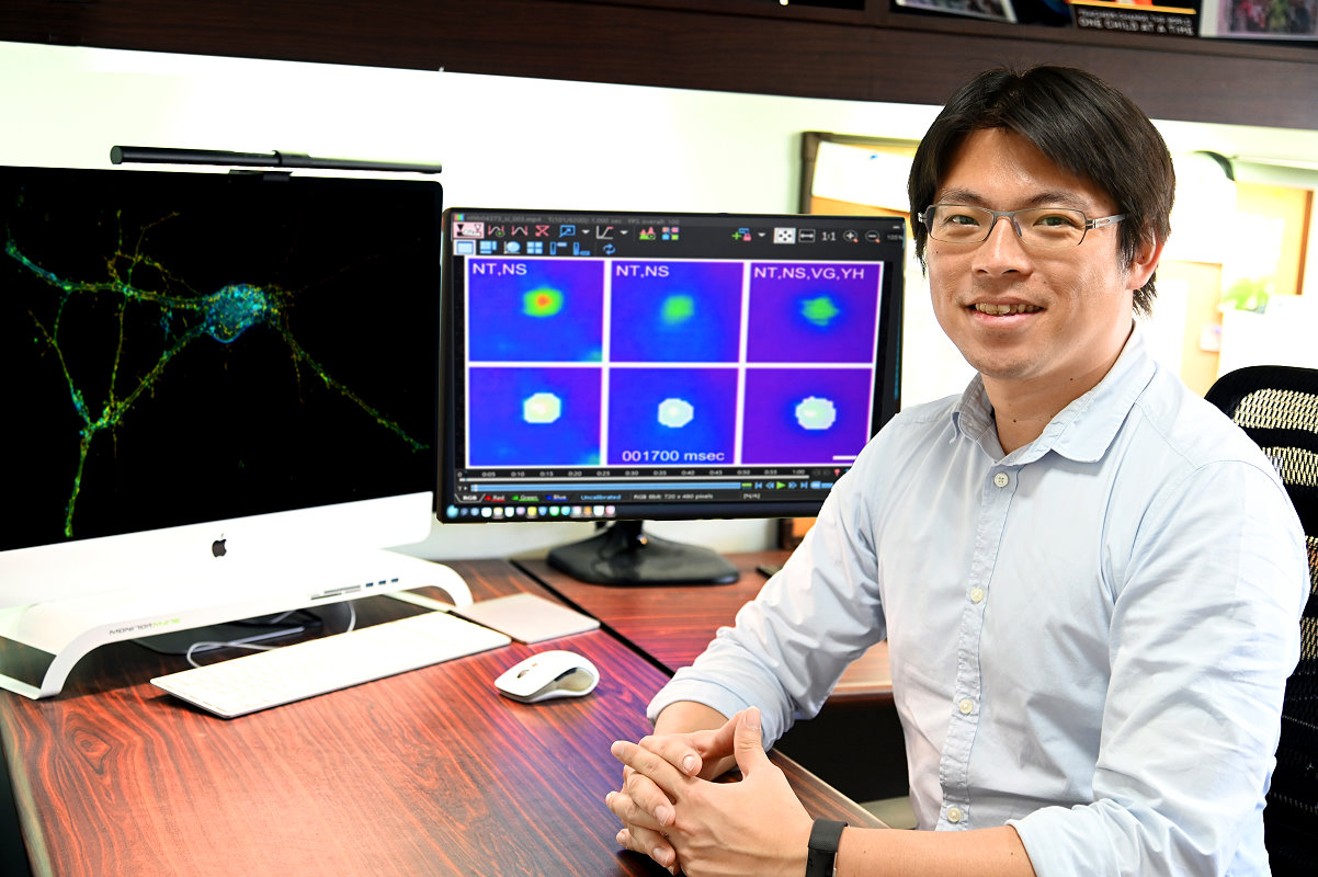 清華分醫所林玉俊老師解開了生物為何能聽見超音波之謎