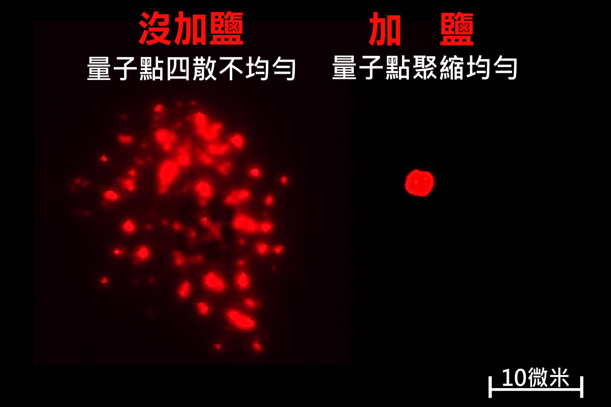 左圖：未加入鹽巴的量子點在噴印後四散，分布不均。右圖：加入鹽巴的量子點在噴印後聚縮，物質分布平均