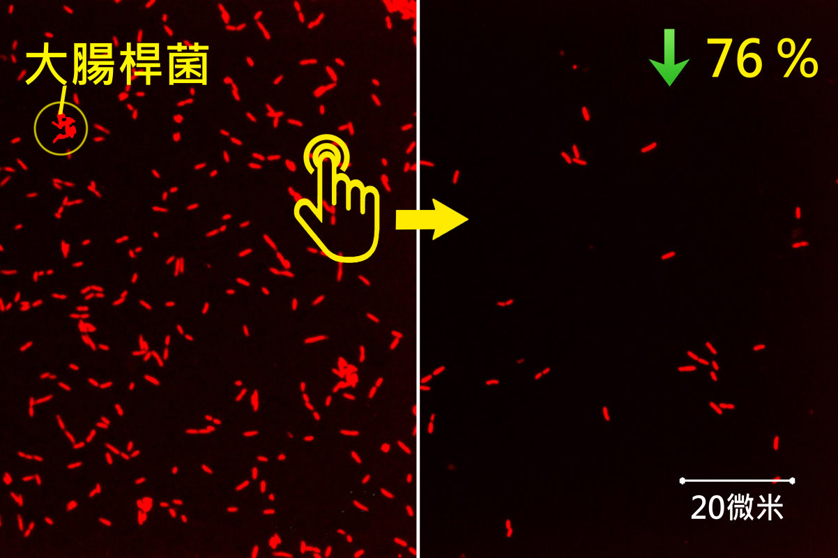 本校研發出的新型壓電薄膜經儀器按壓2.5小時後，大腸桿菌數量減少了76%