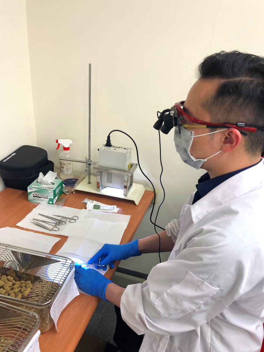 台北馬偕神經外科林新曜醫師在清華研究出奈米水膠可緩釋腦腫瘤化療藥物