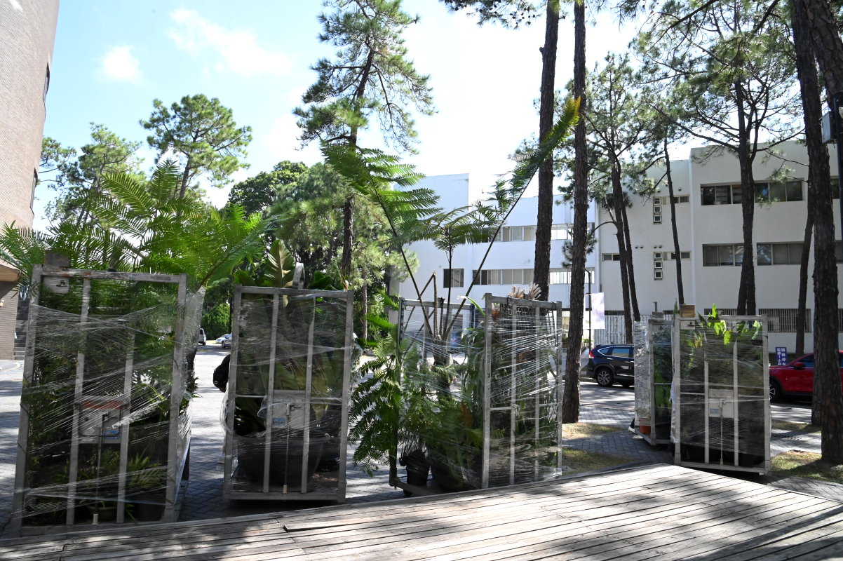 辜嚴倬雲植物保種中心的蕨類用恆溫卡車運送至清華百蕨園