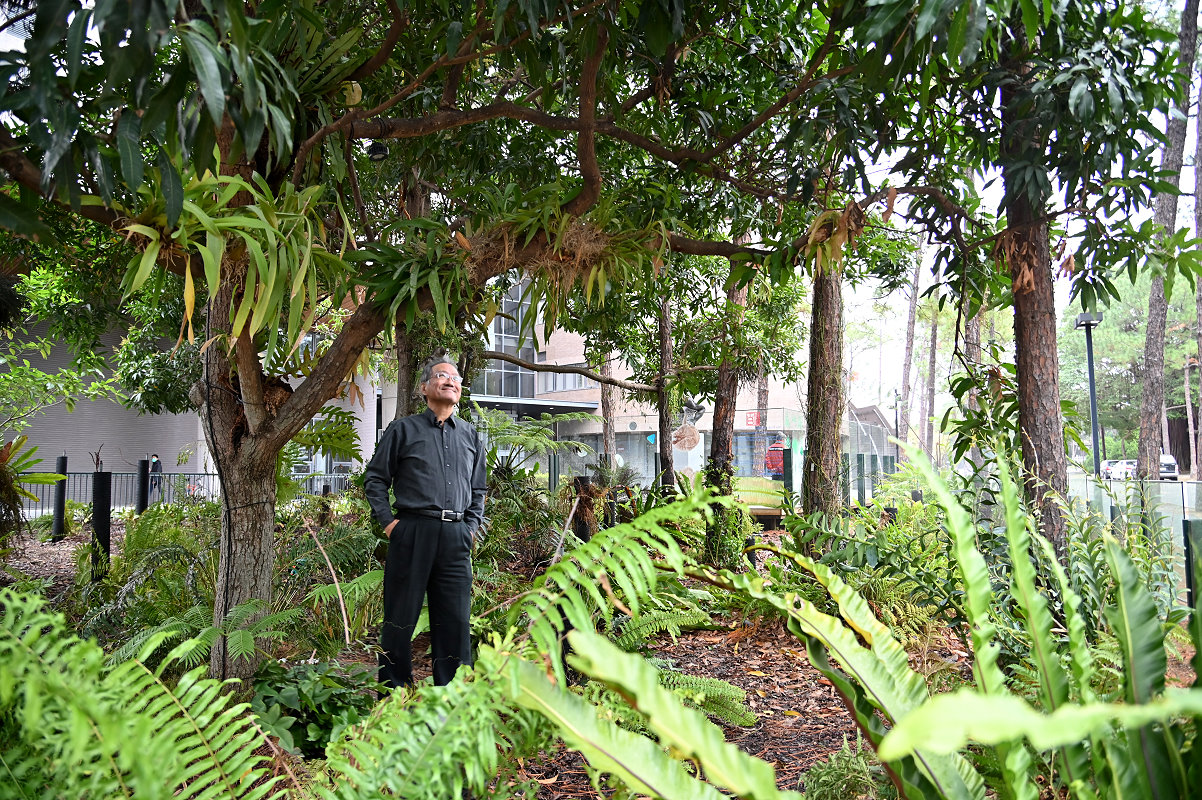 本校生科系李家維教授在校園內打造百蕨園，保育台灣原生蕨類