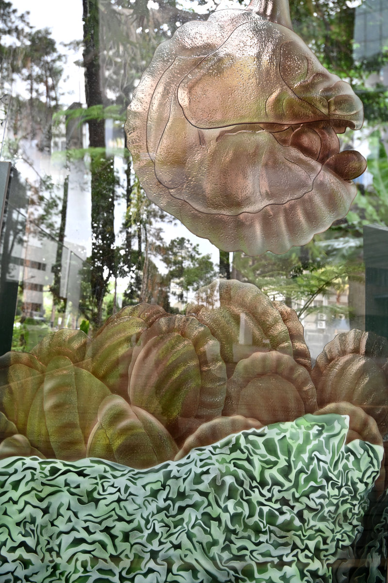本校百蕨園外的玻璃帷幕上鐫刻蕨葉、孢子囊及孢子在顯微鏡下的樣貌