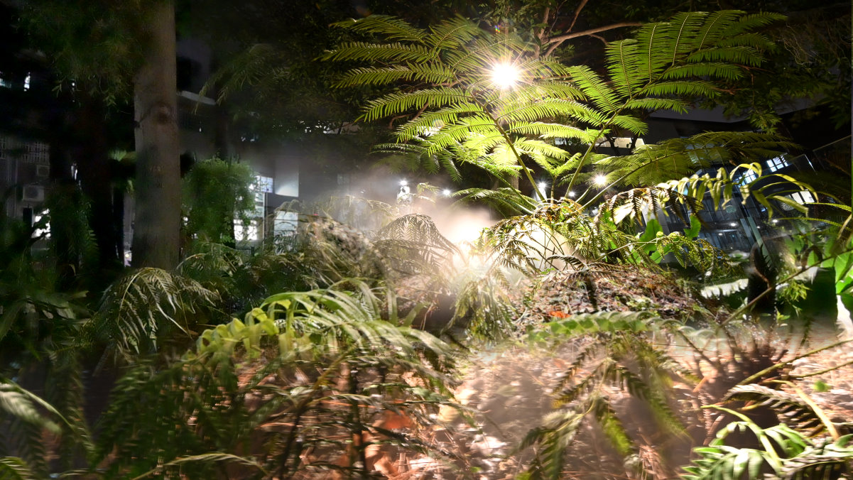本校設置為蕨類補溼的造霧機，夜晚時加上燈光，成為校園新美景
