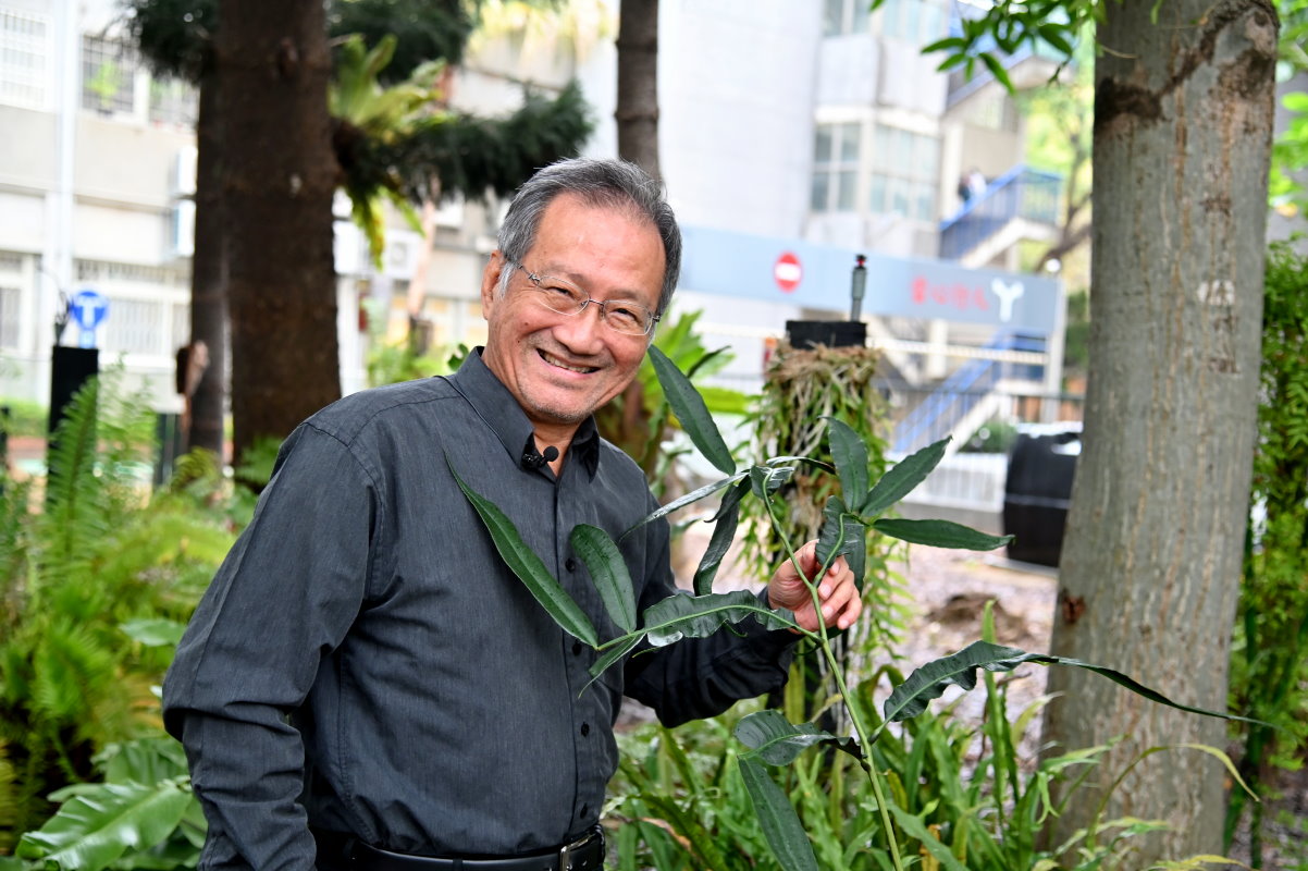 本校百蕨園內種植1棵瀕臨滅絕的伊藤氏原始觀音座蓮