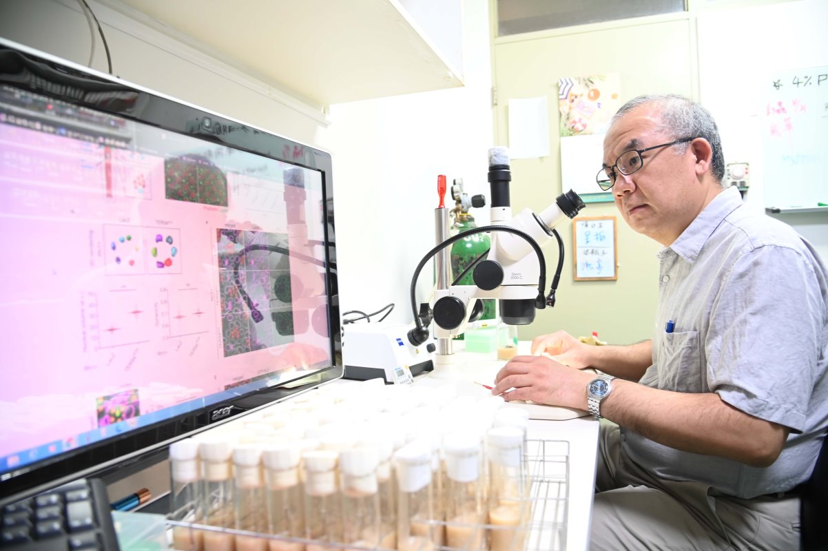清華生技所桑自剛教授進行果蠅生物模式實驗