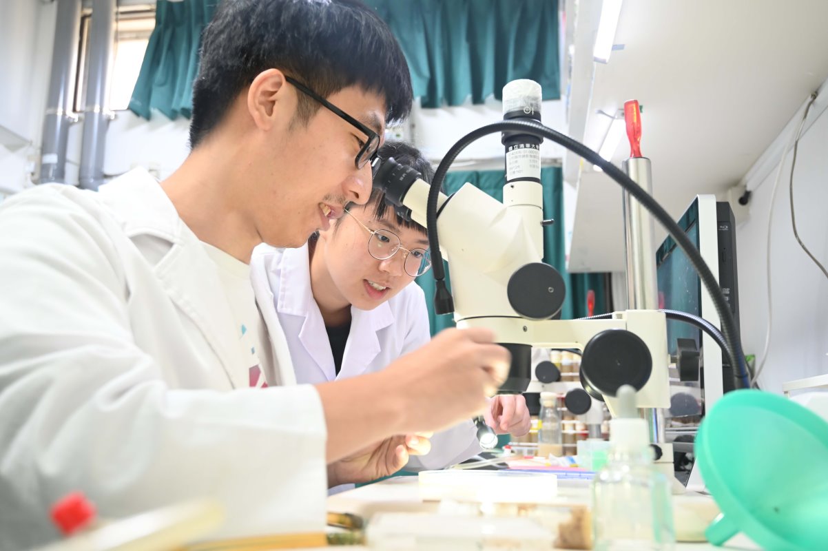 清華生技所桑自剛教授（中）正在指導研究生進行果蠅生物模式實驗