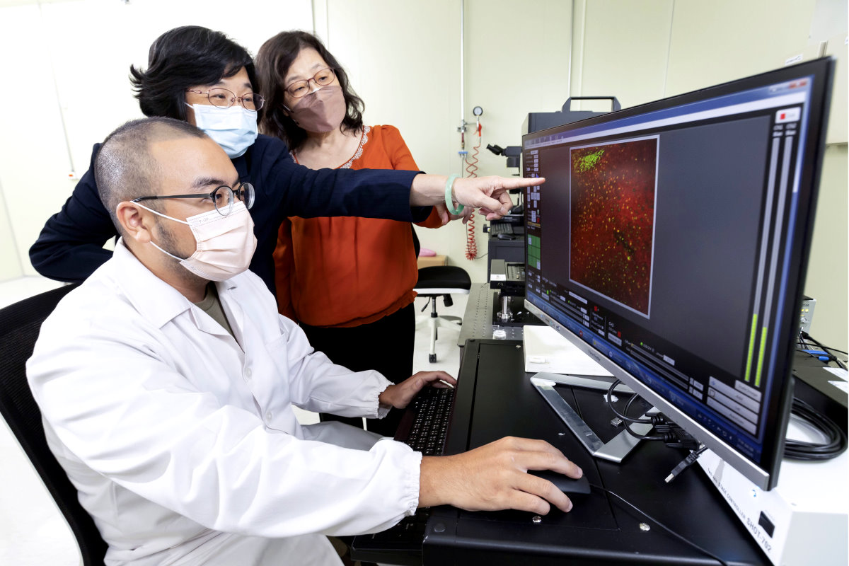 3D數位病理影像可以看到癌變細胞的深度、分布及生物標記