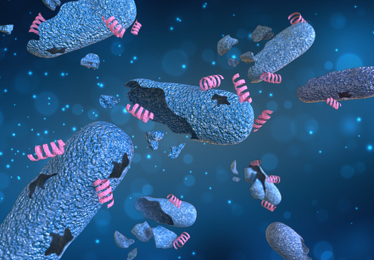 新設計的胜肽(桃紅色)抗大腸桿菌(藍色)效果更佳