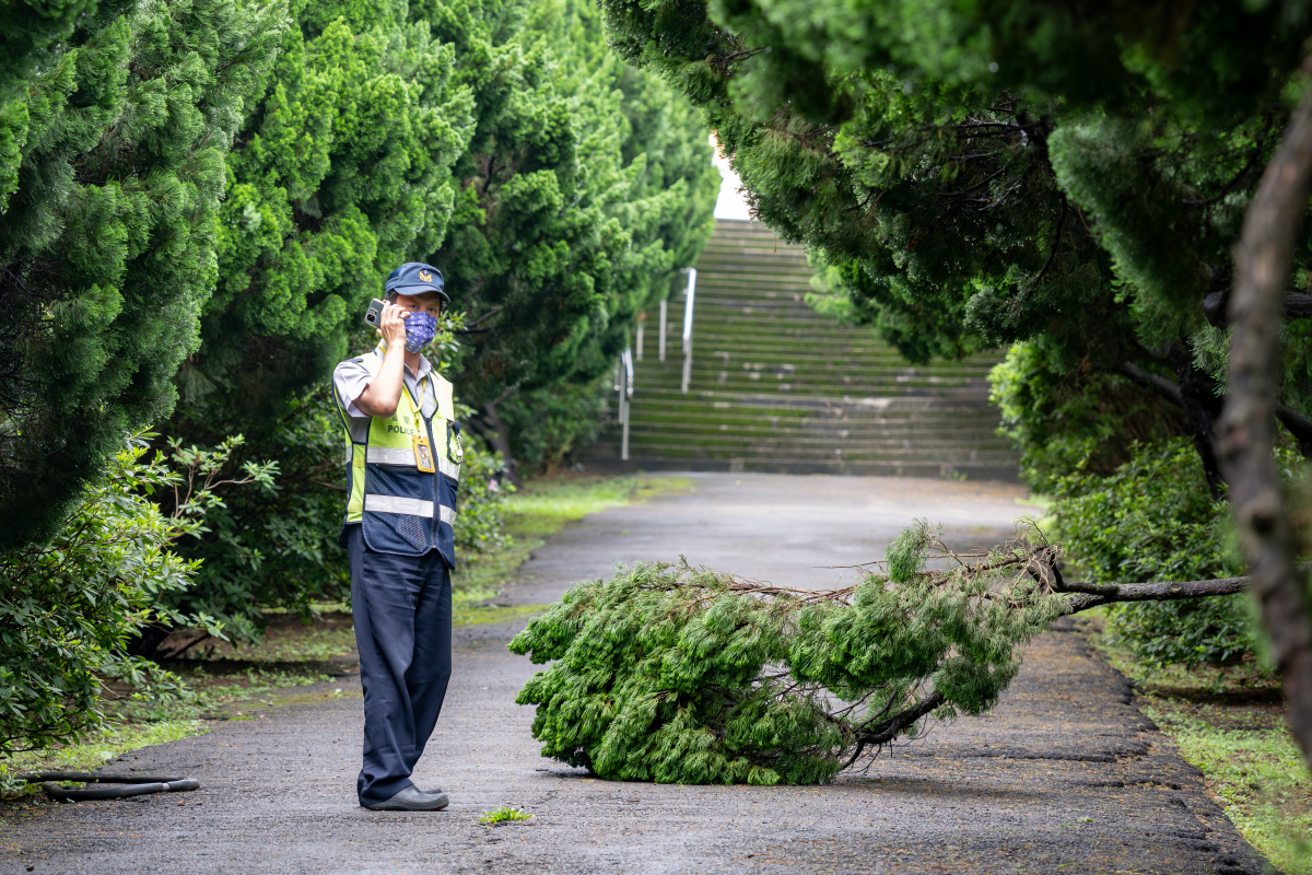 本校駐警隊王朝旭隊員發現校內樹木倒塌，立即通報工班處理